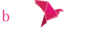 Bkash Logo